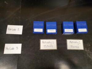 Lab labels for Activity 1 and Activity 2 with the corresponding slides laid out.